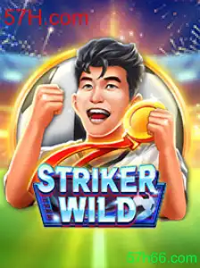 StrikerWILD: Um Mergulho no Universo do Jogo e as Regras Essenciais